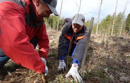 POGOZDOVANJE V RAKOVEM ŠKOCJANU 25 FOTO LJUBO VUKELIČ
